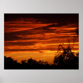 RedSunset Poster