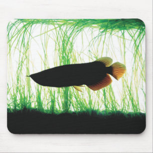 Golden Fish Mouse Pads & Desk Mats