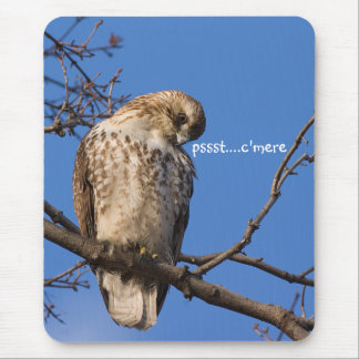 Redtail Mouse Guard Mouse Pad