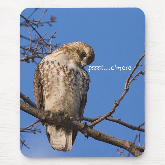 Redtail Mouse Guard Pad (Front)