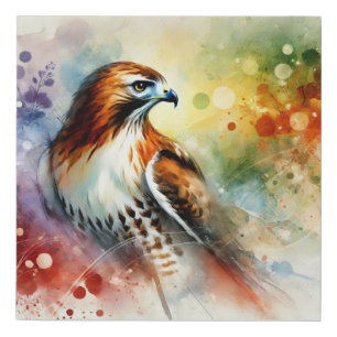 Redtailed hawk 061024AREF142 - Watercolor Faux Canvas Print