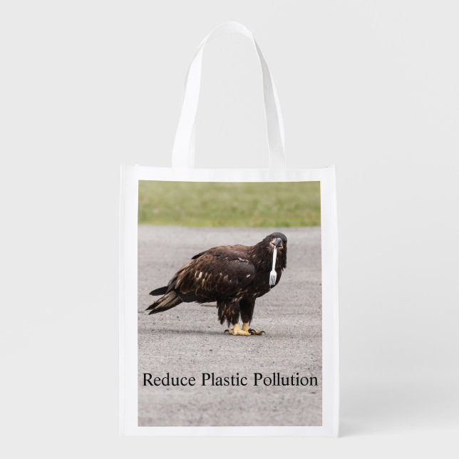 Reduce Plastic Pollution Grocery Bag (Front)