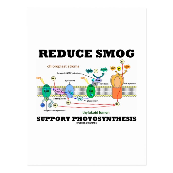 Reduce Smog Support Photosynthesis Post Card