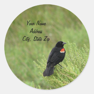 Redwing Blackbird Address Sticker