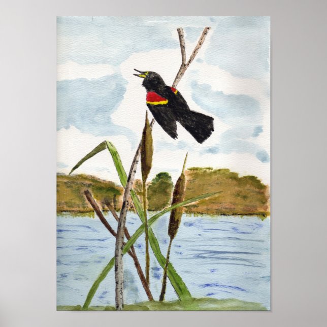 Redwing Blackbird Poster (Front)