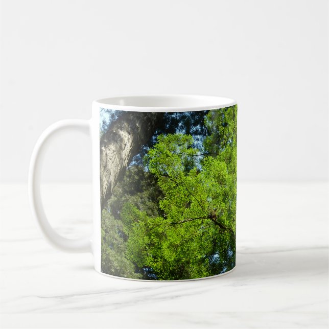 Redwood Boughs at Redwood National Park Coffee Mug (Left)