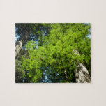 Redwood Boughs at Redwood National Park Jigsaw Puzzle