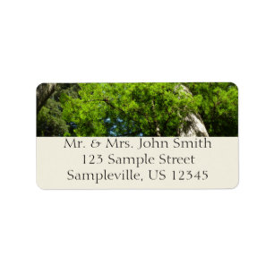 Redwood Boughs at Redwood National Park Label