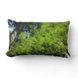 Redwood Boughs at Redwood National Park Lumbar Pillow