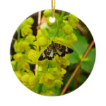 Redwood Butterfly and Oregon Grape Wildflowers Ceramic Ornament