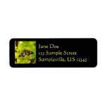 Redwood Butterfly and Oregon Grape Wildflowers Label