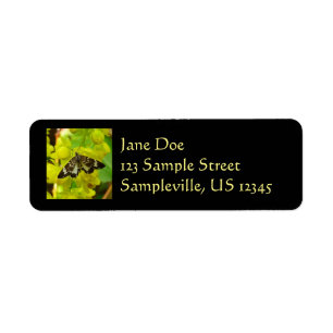 Redwood Butterfly and Oregon Grape Wildflowers Label