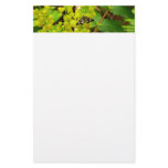 Redwood Butterfly and Oregon Grape Wildflowers Stationery