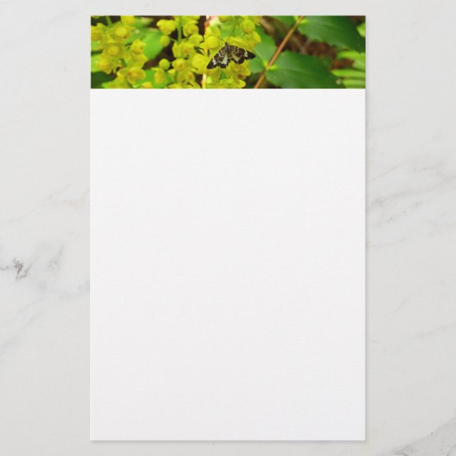 Redwood Butterfly and Oregon Grape Wildflowers Stationery (Front)