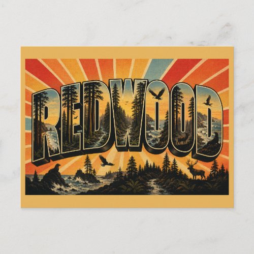 Redwood California Ancient Forest Coast Art Postcard