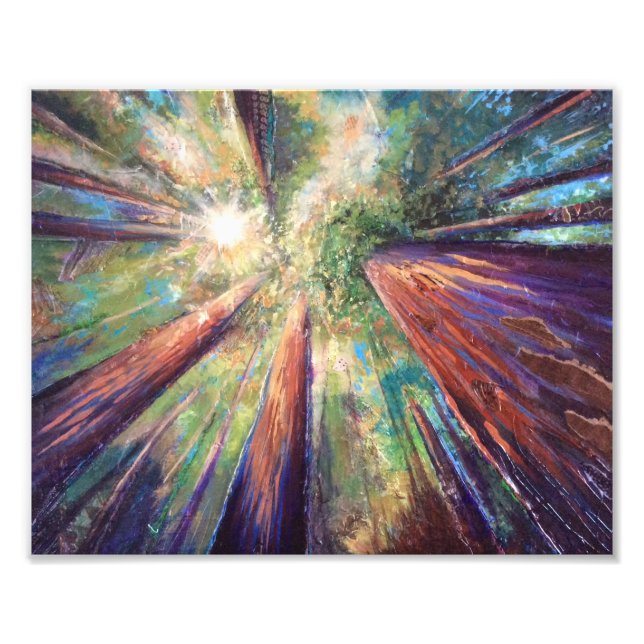 Redwood Canopy Photo Print (Front)