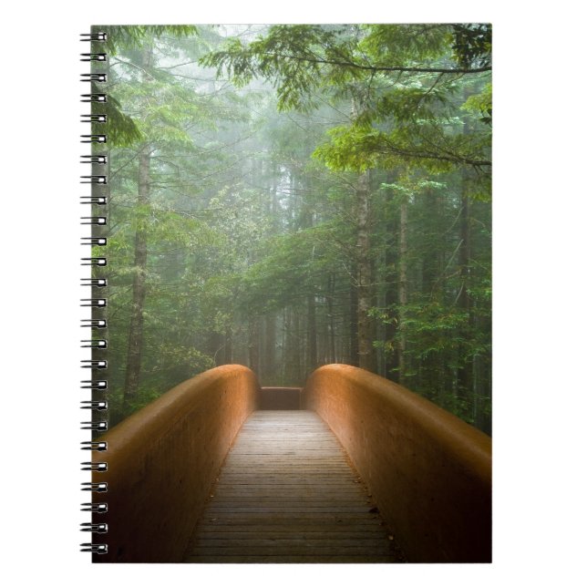 Redwood Forest Bridge Notebook (Front)