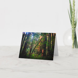 Redwood Forest Card