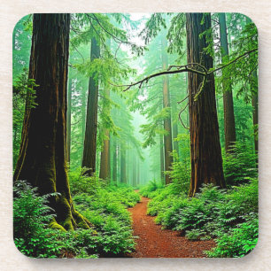 Redwood Forest Misty Tranquility Design Beverage Coaster