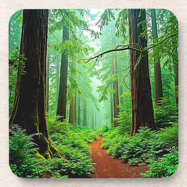 Redwood Forest Misty Tranquility Design Beverage Coaster (Front)