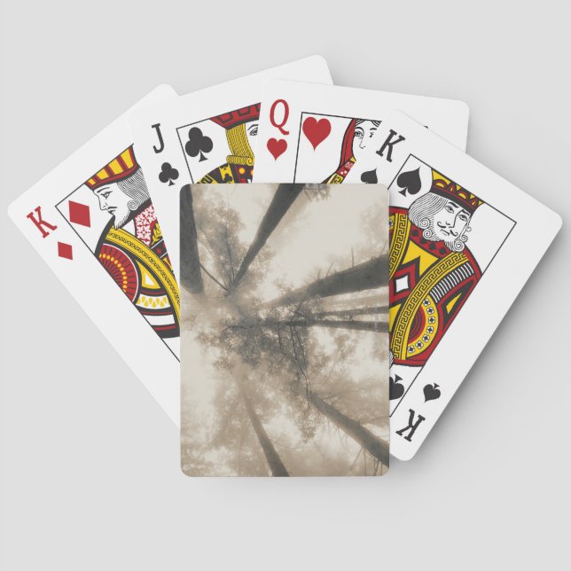 Redwood Forest, Northern California Poker Cards (Back)
