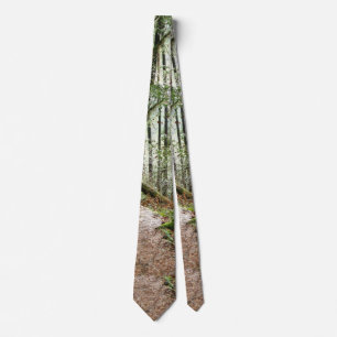 Redwood Forest Woods Leaves Trees Hiking Tie