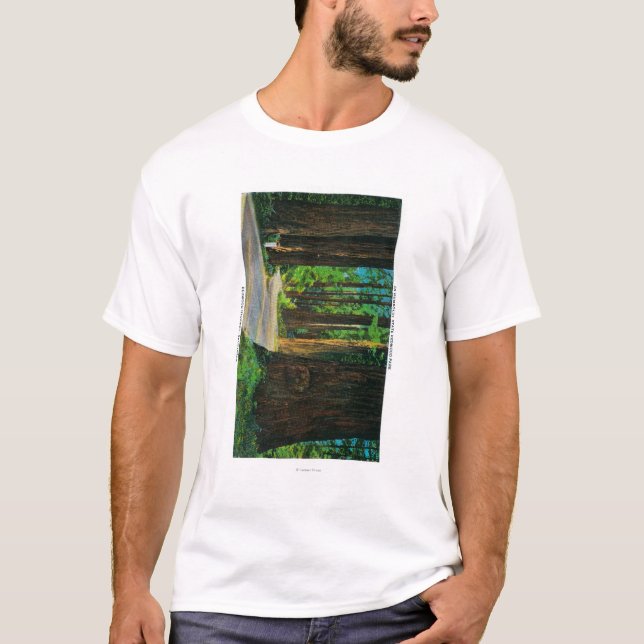 Redwood Highway in Humboldt State Redwood Park T-Shirt (Front)