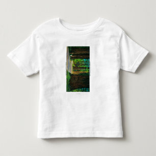 Redwood Highway in Humboldt State Redwood Park Toddler T-shirt