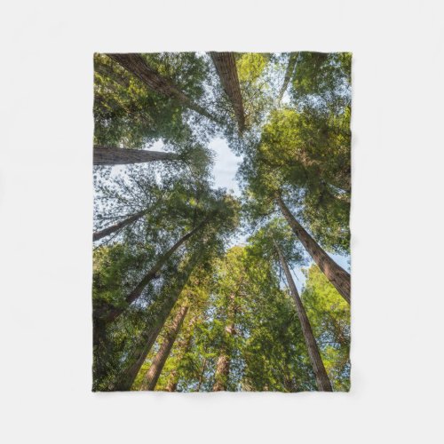 Redwood National and State Parks California Fleece Blanket