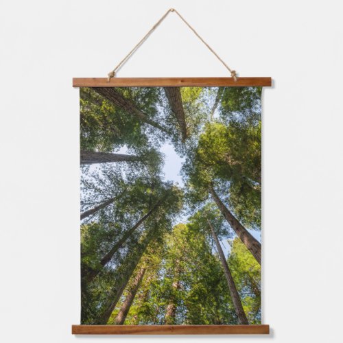 Redwood National and State Parks California Hanging Tapestry