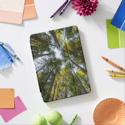 Redwood National and State Parks California iPad Air Cover