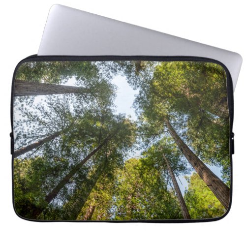 Redwood National and State Parks California Laptop Sleeve