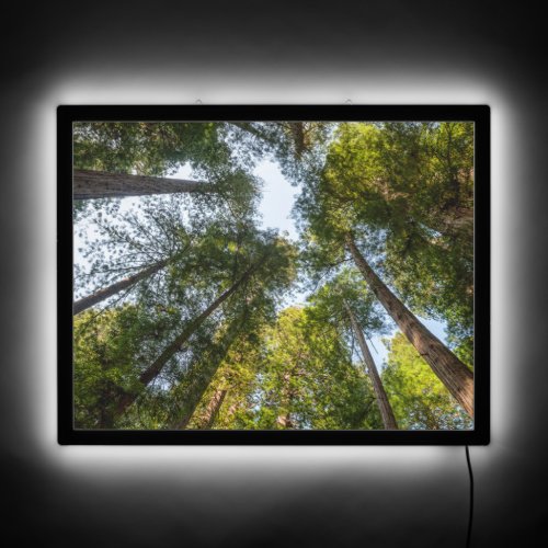 Redwood National and State Parks California LED Sign