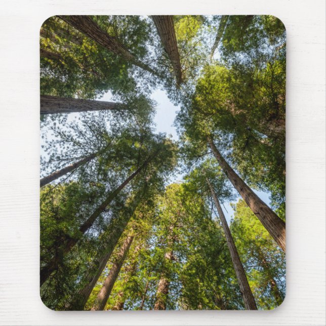 Redwood National and State Parks, California Mouse Pad (Front)