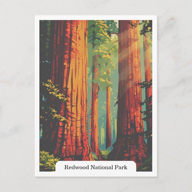 Redwood National and State Parks, California USA Postcard (Front)