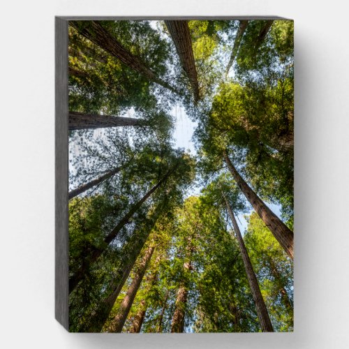 Redwood National and State Parks California Wooden Box Sign