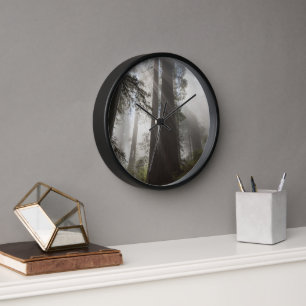 Redwood National Park California Clock