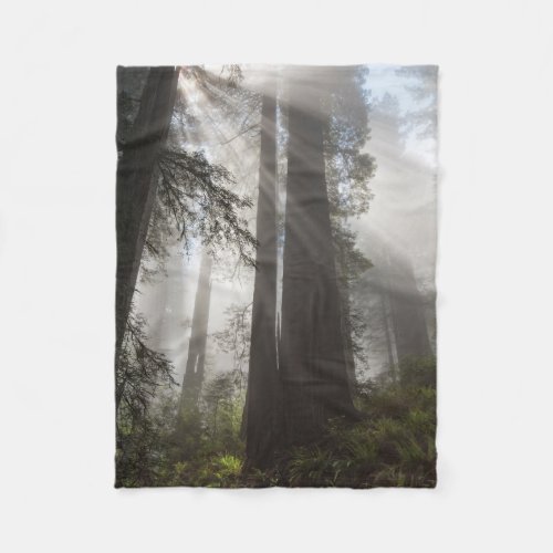 Redwood National Park California Fleece Blanket