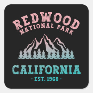 Redwood National Park California Gradient Square Sticker