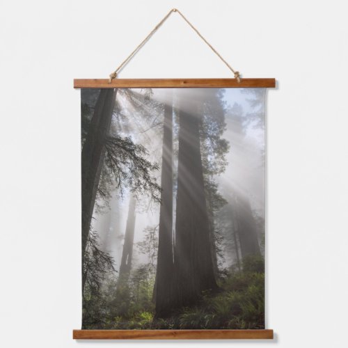 Redwood National Park California Hanging Tapestry