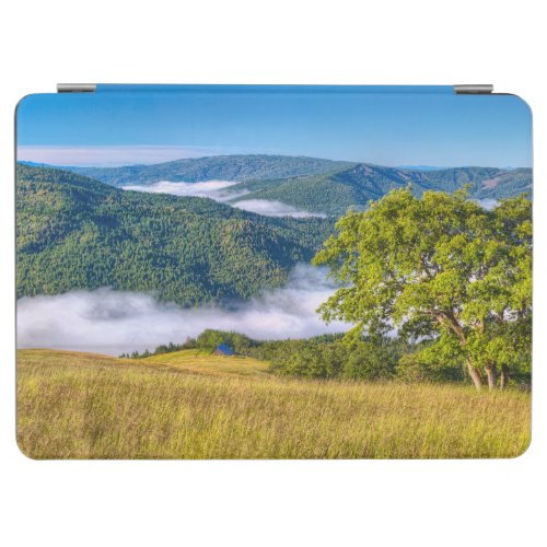 Redwood National Park California iPad Air Cover