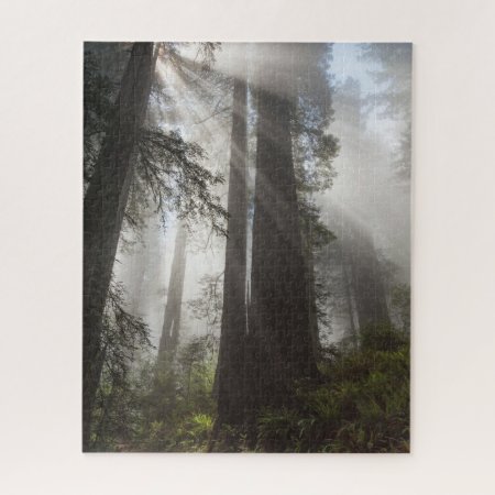 Redwood National Park California Jigsaw Puzzle