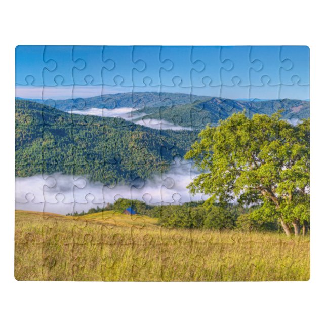 Redwood National Park, California Jigsaw Puzzle (Puzzle Horizontal)