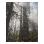 Redwood National Park California Jigsaw Puzzle at Zazzle