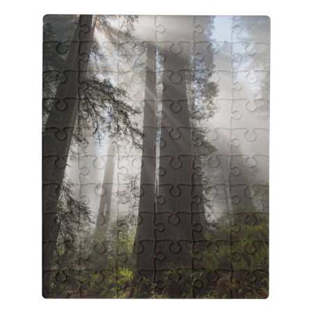 Redwood National Park California Jigsaw Puzzle