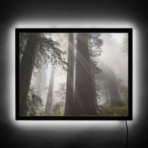 Redwood National Park California LED Sign