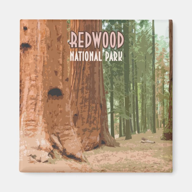Digi Magnets DIGI-AVMAG-1214 MAGNET 4x4 Inch Round REDWOOD National Park