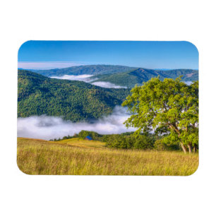 Redwood National Park, California Magnet