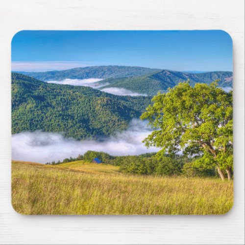 Redwood National Park California Mouse Pad