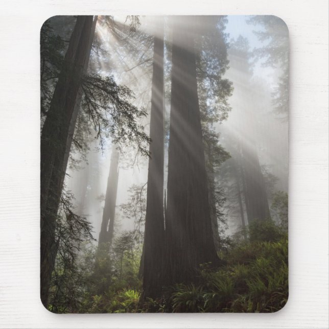 Redwood National Park California Mouse Pad (Front)